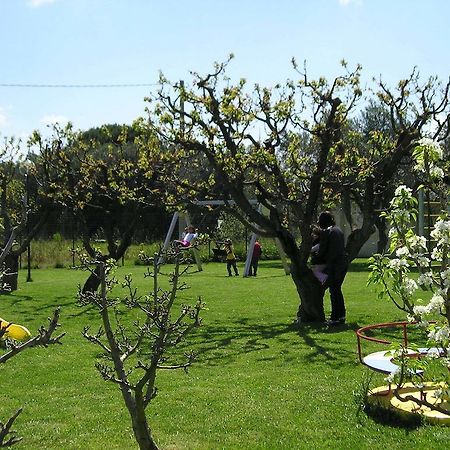 Agriturismo Arangea Lequile Екстер'єр фото