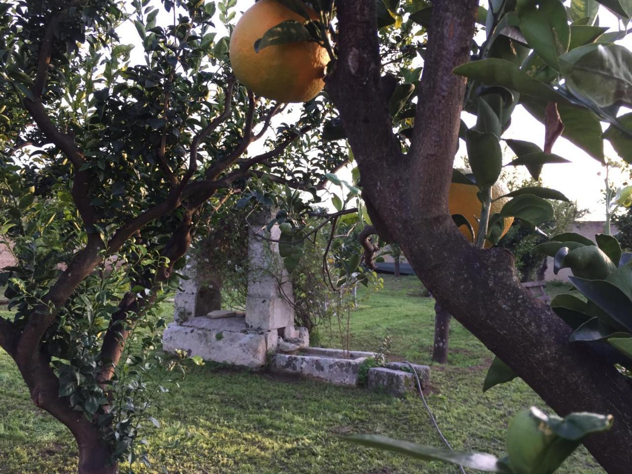 Agriturismo Arangea Lequile Екстер'єр фото